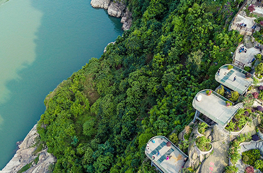 長江之濱的這個花谷 看一眼就醉！