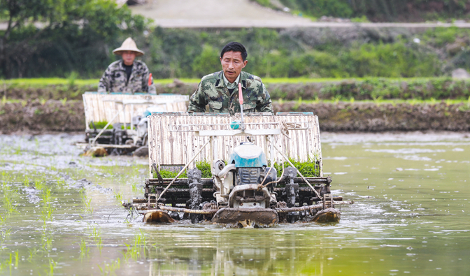 春去夏來，百谷生，致敬最美農人