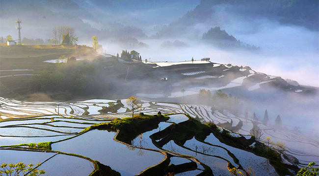 航拍重慶花田鄉 雨後梯田美如畫