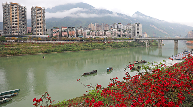 彭水：烏江畫廊&ldquo;滿江紅&rdquo;