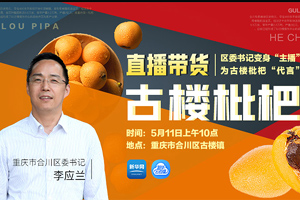 重慶合川區委書記變&ldquo;主播&rdquo; 為古樓枇杷&ldquo;代言&rdquo;