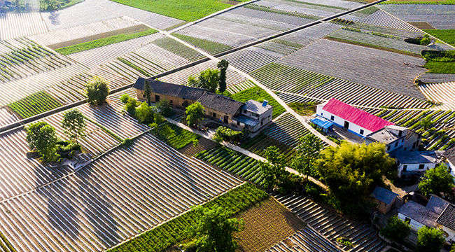 【&ldquo;飞阅&rdquo;中国】航拍重庆：初夏时节笃坪乡 万亩良田绘美景