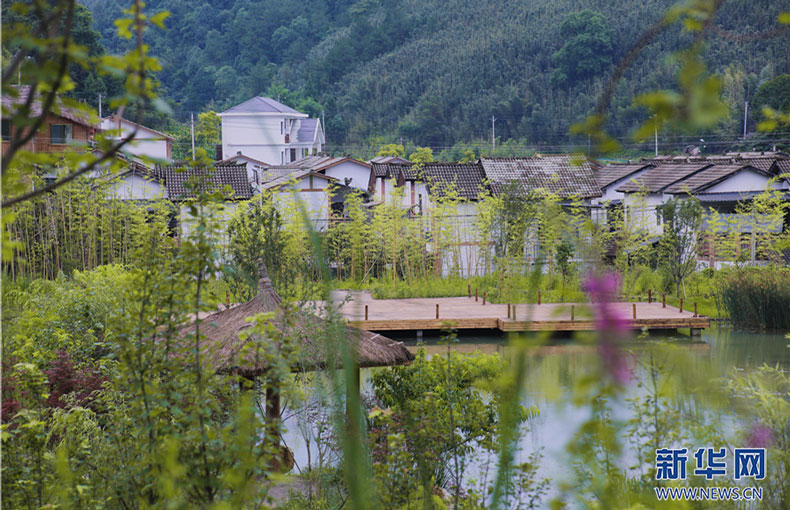 從地下回到地上