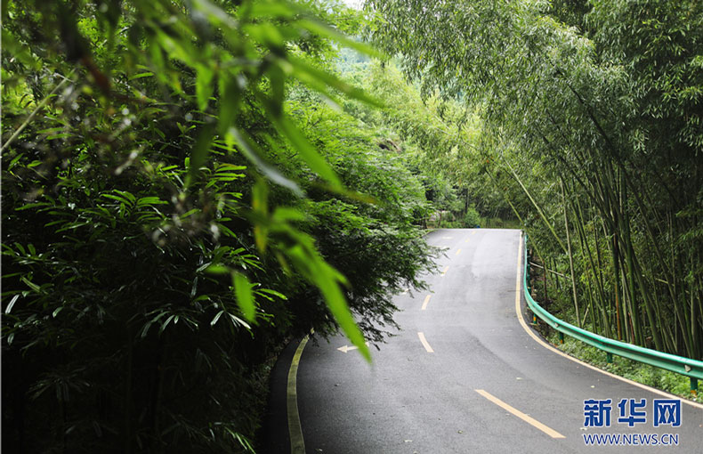 從黑色轉向綠色