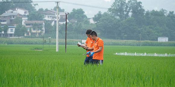 地質調查放飛大山深處脫貧攻堅新“硒”望