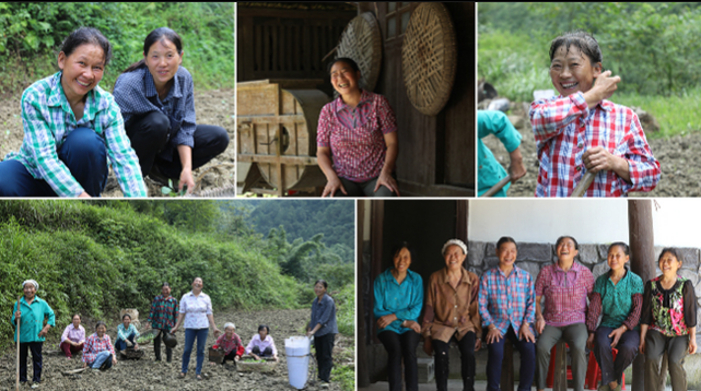 花開泥土裏 笑意滿田園