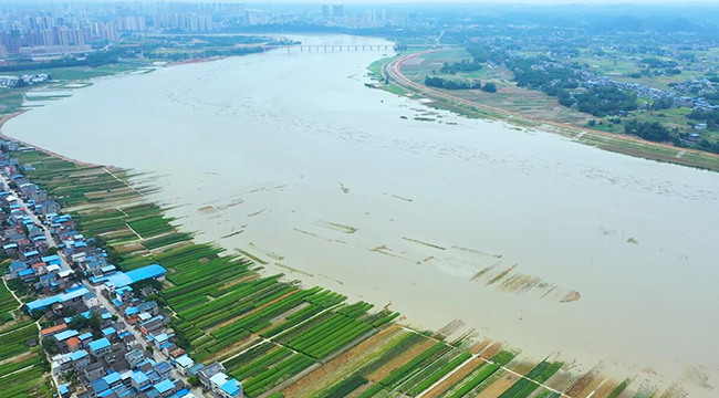 航拍重慶潼南洪峰過境 蔬菜基地受淹
