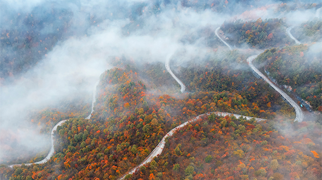 【“飞阅”中国】又见大巴山彩叶