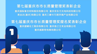 【MG动画】两分钟带你了解第七届重庆市市长质量管理奖