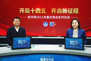 重庆市人大代表、重庆市林业局副局长王定富做客新华网