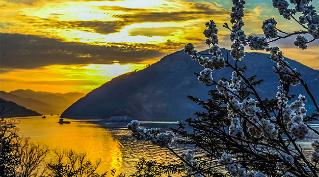 定格三峡的春天：锦绣山河处处诗