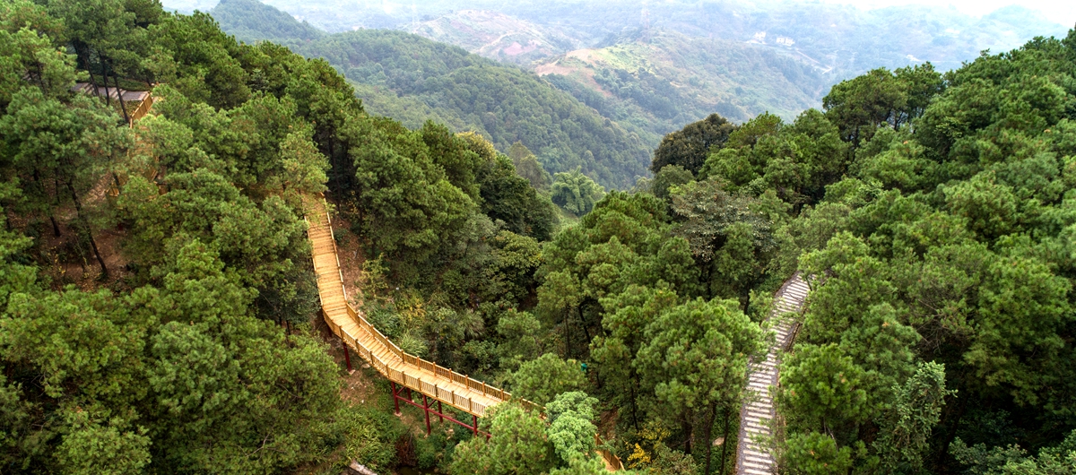 玉峰山森林公园临崖步道。