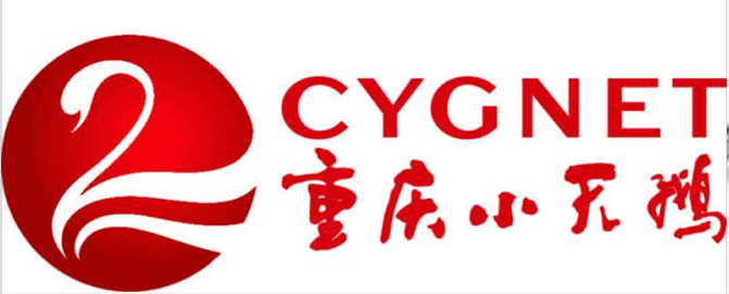 重庆小天鹅百福公司