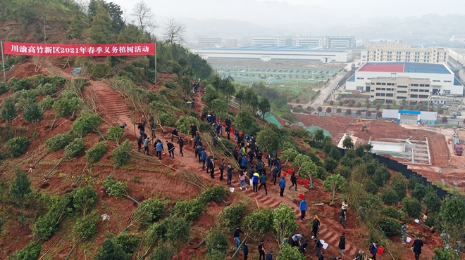 川渝高竹新区：义务植树添新绿 共建美好新家园