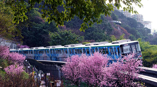轨道交通成重庆市民出行重要选择