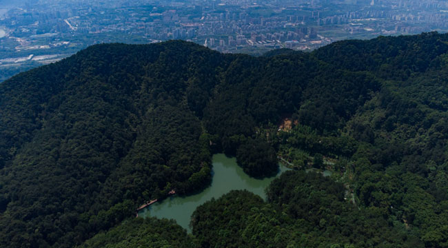 重庆：生态修复助力我国“藻类基因宝库”美丽蝶变