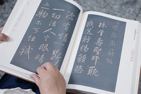 《苏轼书法全集》样书