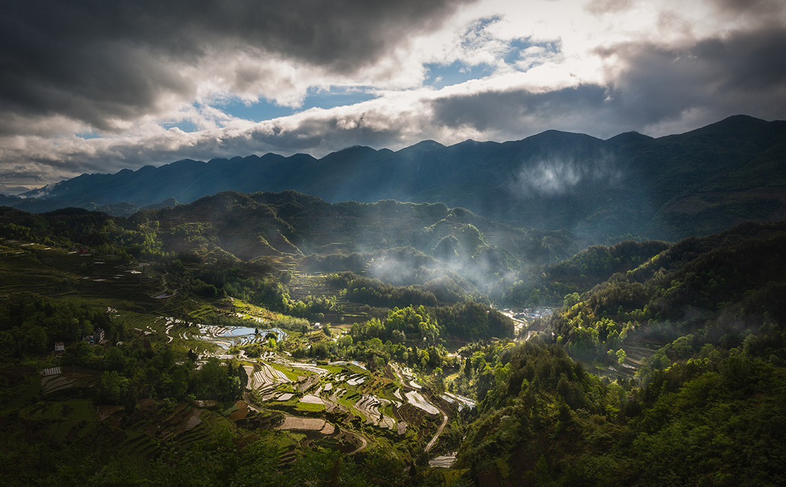 希望的田野