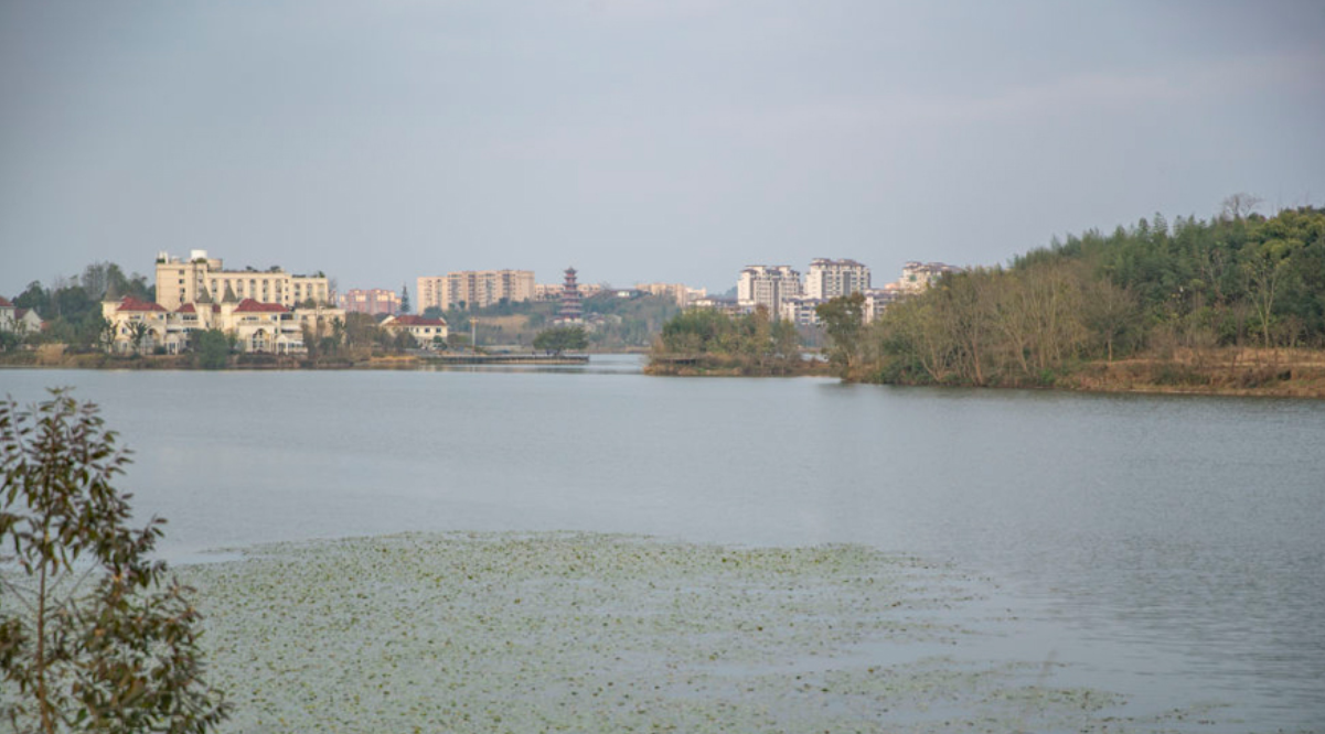 湿地润泽城乡 打造生态品牌——重庆梁平生态建设观察