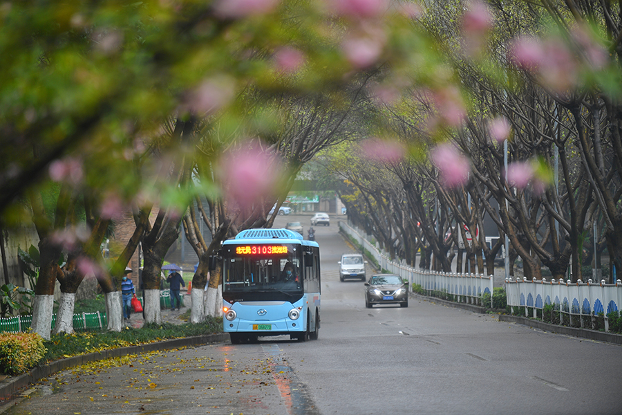 春日小巷公交 幸福城市“微循环”