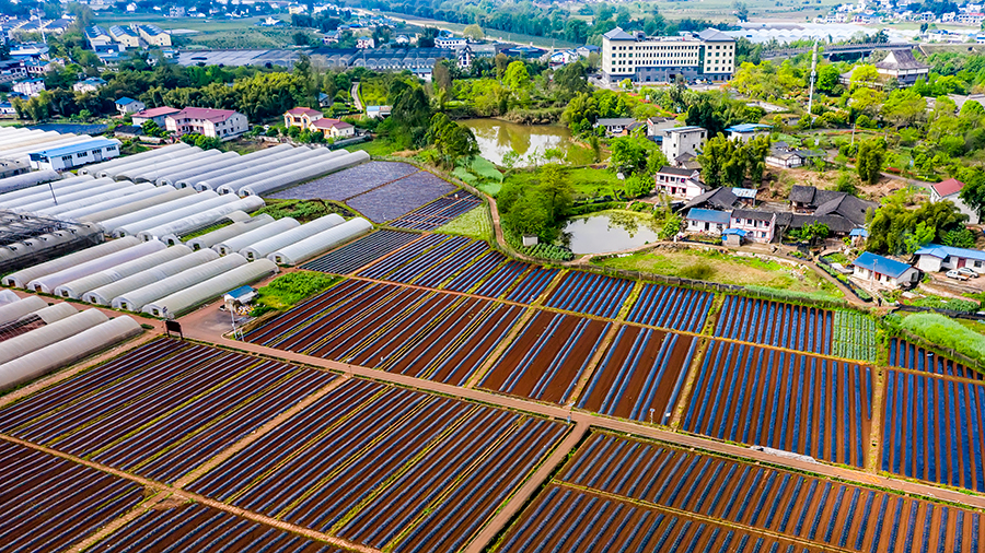 最是一年春好处丨&ldquo;农墨种彩&rdquo; 绘就春耕春种图