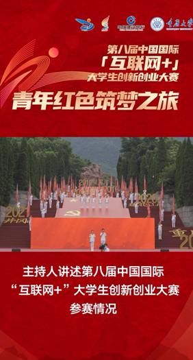 参赛情况