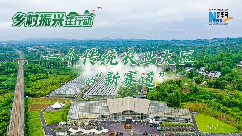 乡村振兴在行动｜一个传统农业大区的“新赛道”