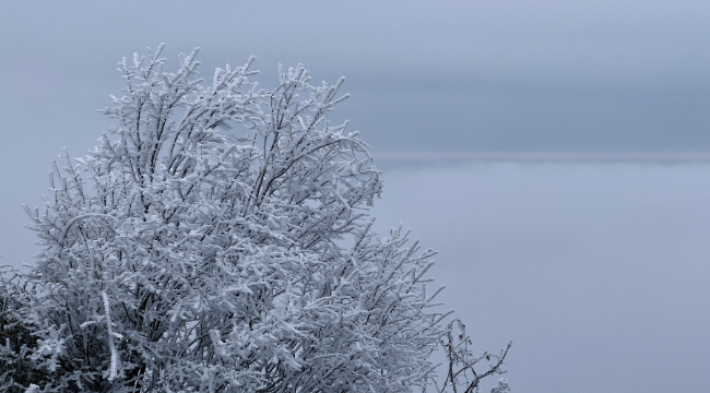 【飞“阅”中国】感受冬日限定的美 武陵山现雾凇奇观