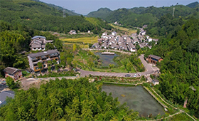 竹海、民宿、美食 重庆建设生态宜居美丽乡村观察