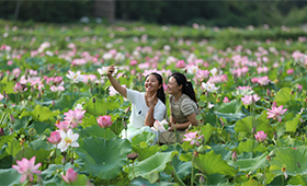 美了村庄富了百姓 农旅融合助力巴山渝水“美丽振兴”