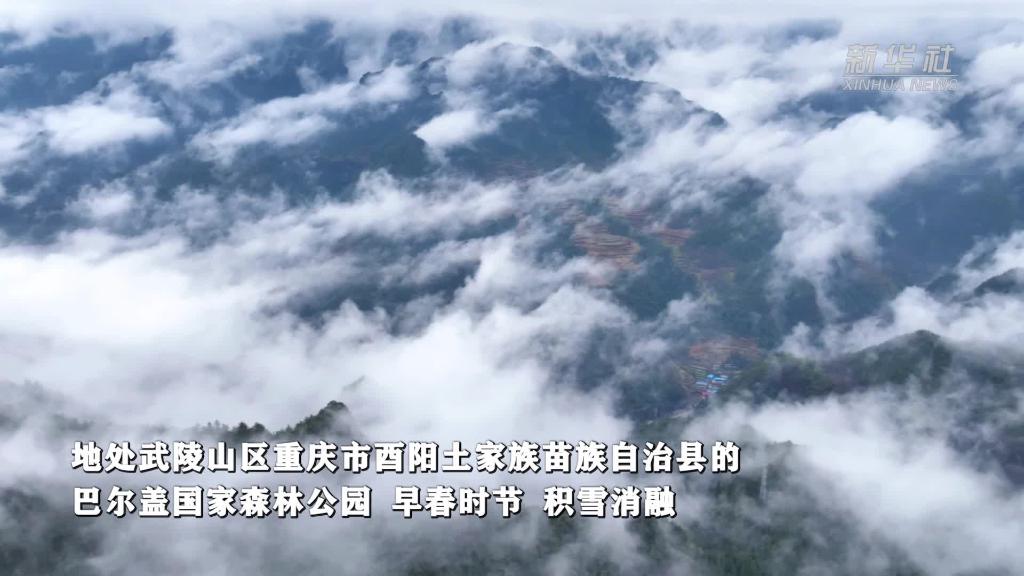 春到武陵山 瞰雨雾云海