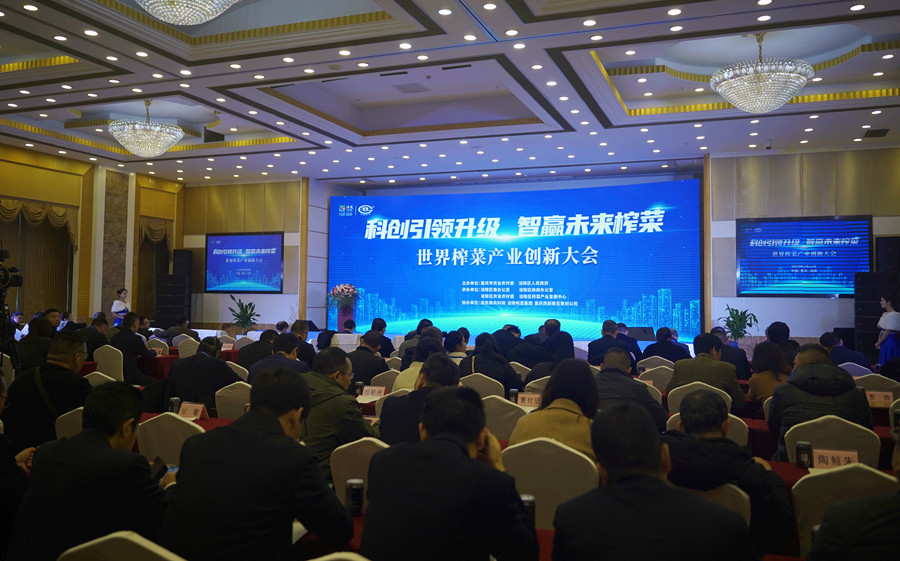 2023世界榨菜产业创新大会即将开始，现场座无虚席。