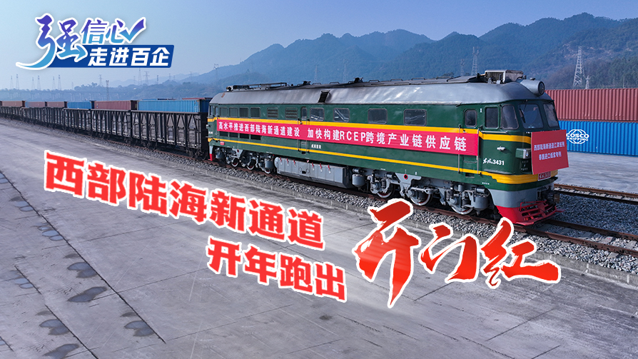 西部陆海新通道开年跑出“开门红”