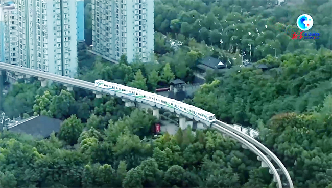 全球连线｜重庆公交“上天入地”方便乘客出行