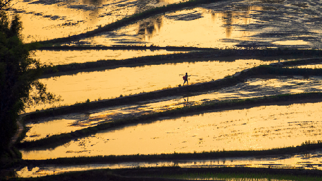 重庆梁平：夕阳下的梯田宛若山水田园画卷