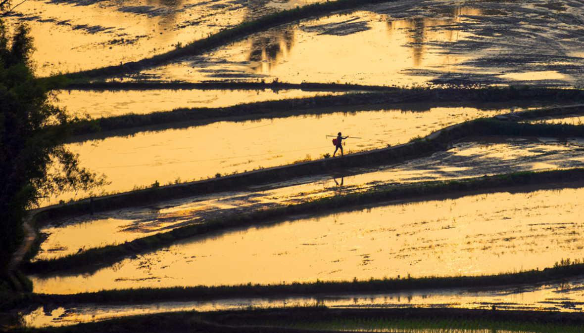 重庆梁平：夕阳下的梯田宛若山水田园画卷