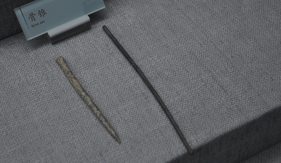 图为双堰塘遗址出土的西周时期骨锥，现藏于巫山博物馆。