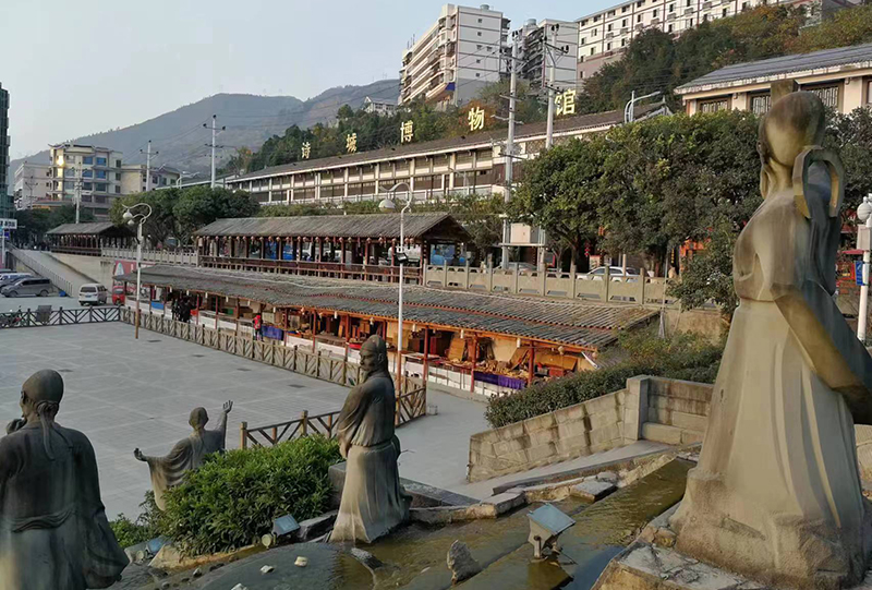 图为奉节城市一角。