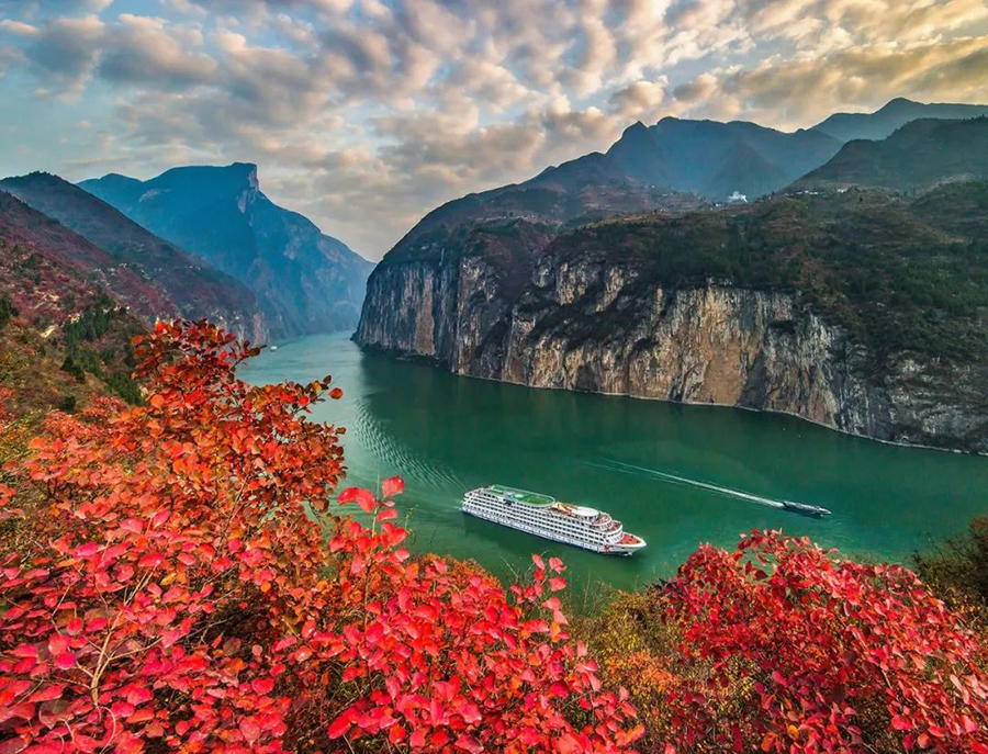 图为王正坤作品《江山红叶》。