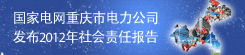 重庆市电力公司责任报告