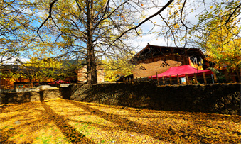 重庆旅游-国内景区图片