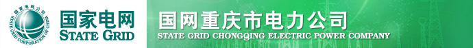 重庆市电力公司