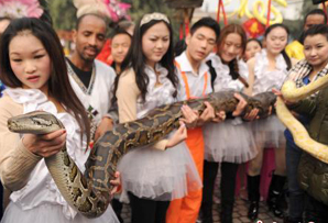 新华周刊|第4期 2013.1.28-2013.2.3