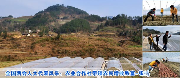 《西游记》为何成第一禁书 | 新华网重庆频道