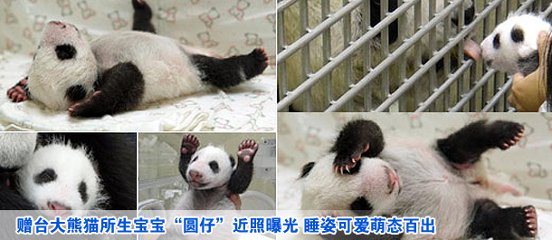 公安部回应<em>二代身份证</em>天生缺陷:加大打击买卖