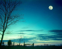 中秋话月:千古文人相思梦