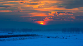探訪《爸爸》外景地-雙峰林場